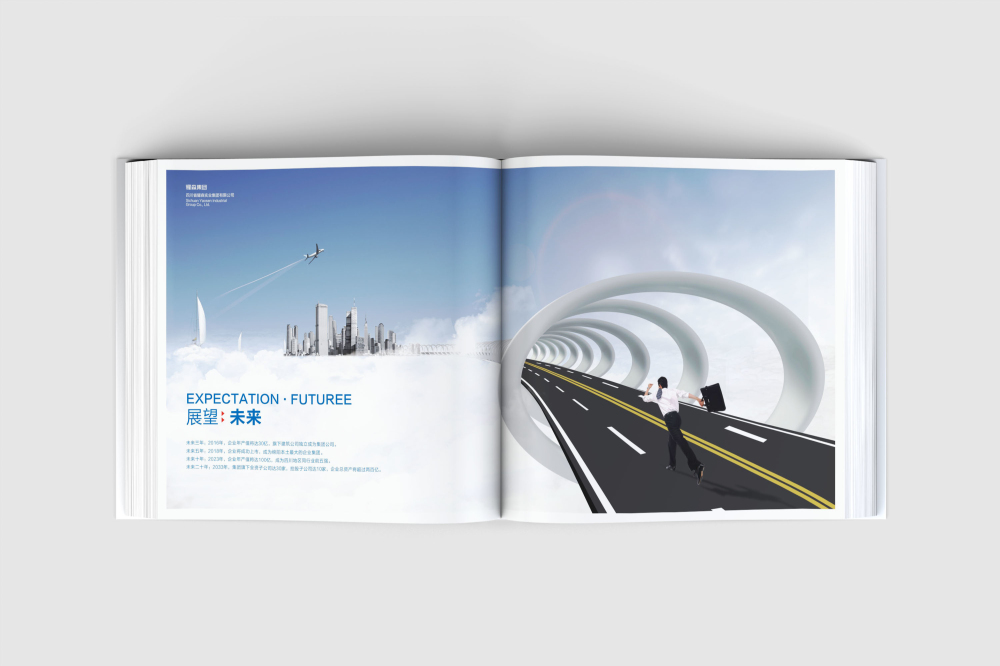 惠城区画册设计